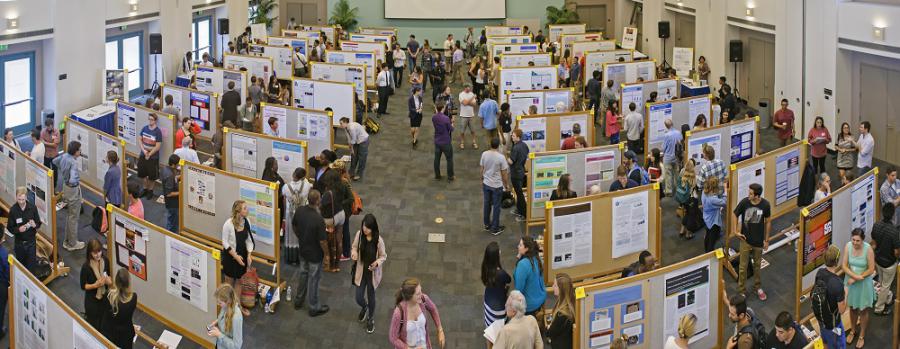 Student Displays at Undergraduate Research Colloquium